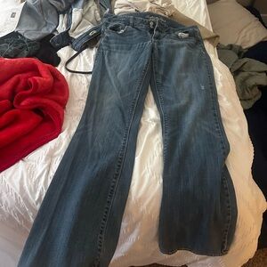 American Eagle Artist Flare Jeans (8-10)